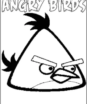 Angry Birds раскраска Теренс