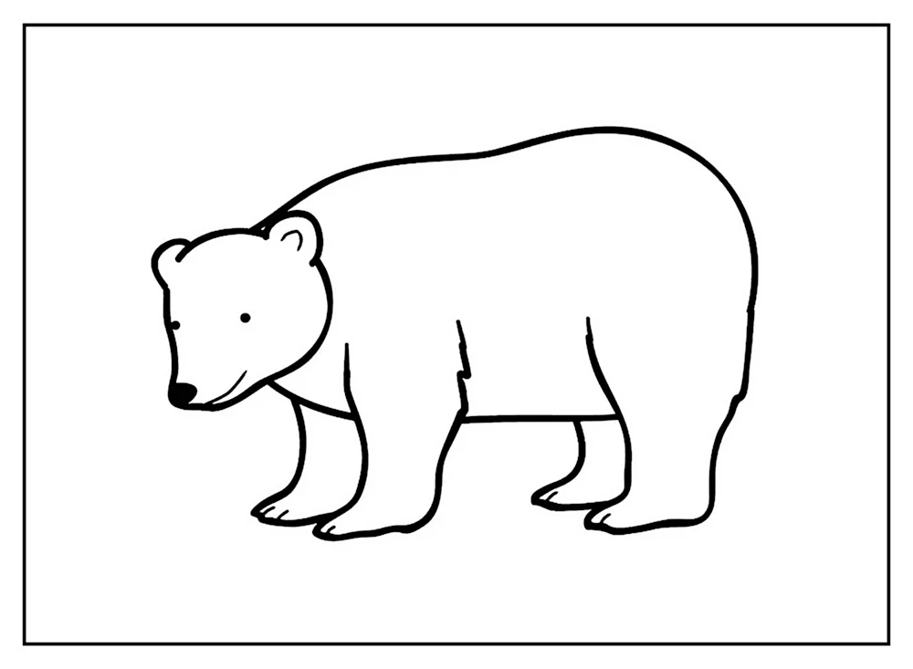Bear picture for Kids раскраска