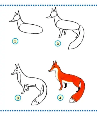 Этапы рисования лисы для дошкольников