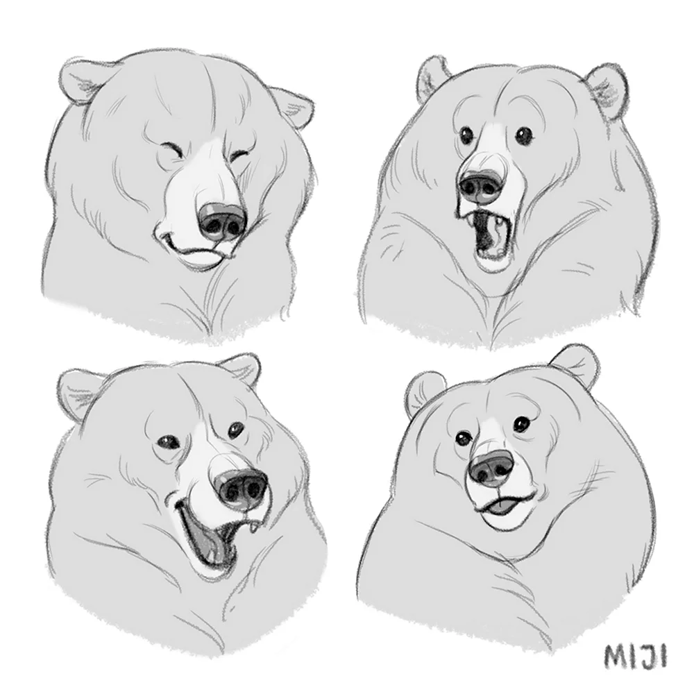 Голова медведя спереди референс