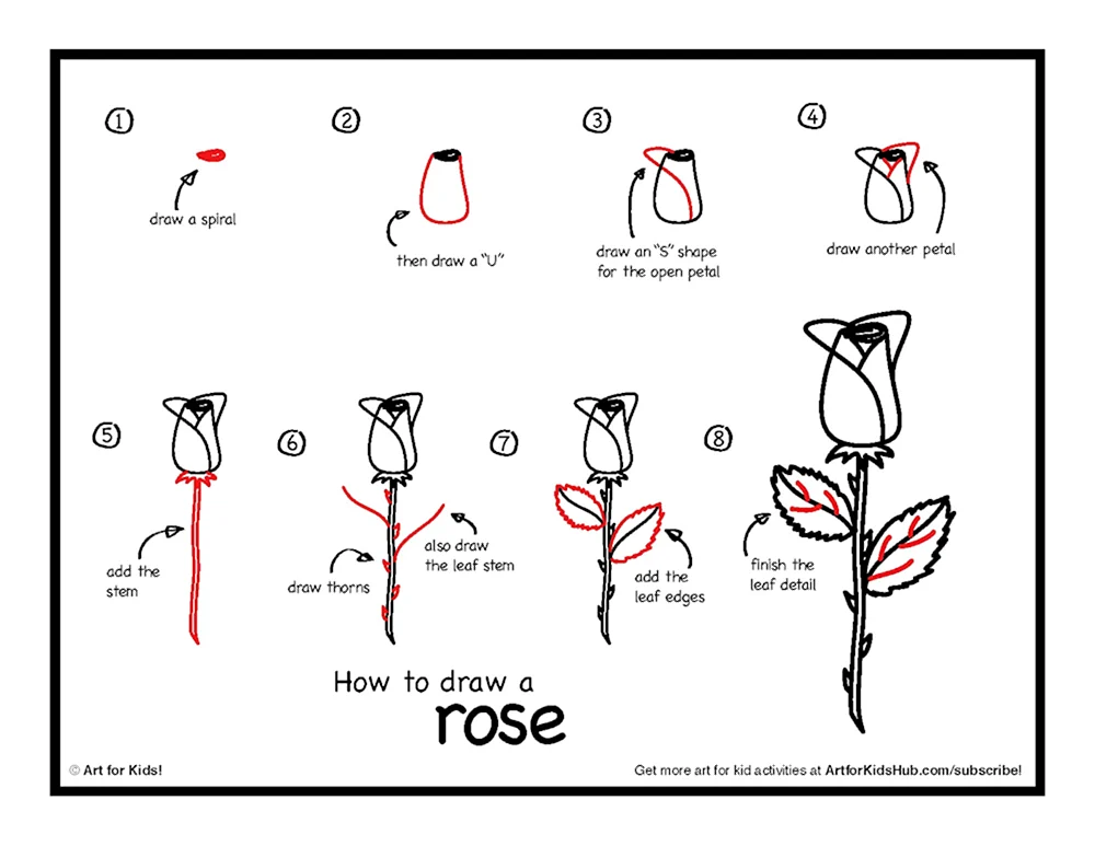 How to easy draw a Rose