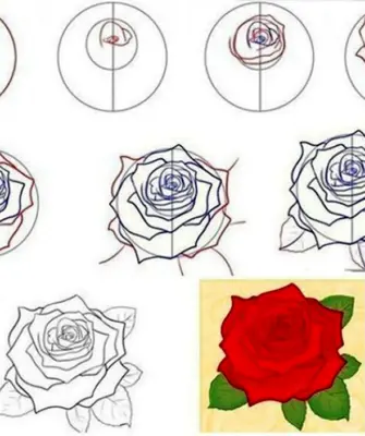 Как научить ребенка рисовать розу