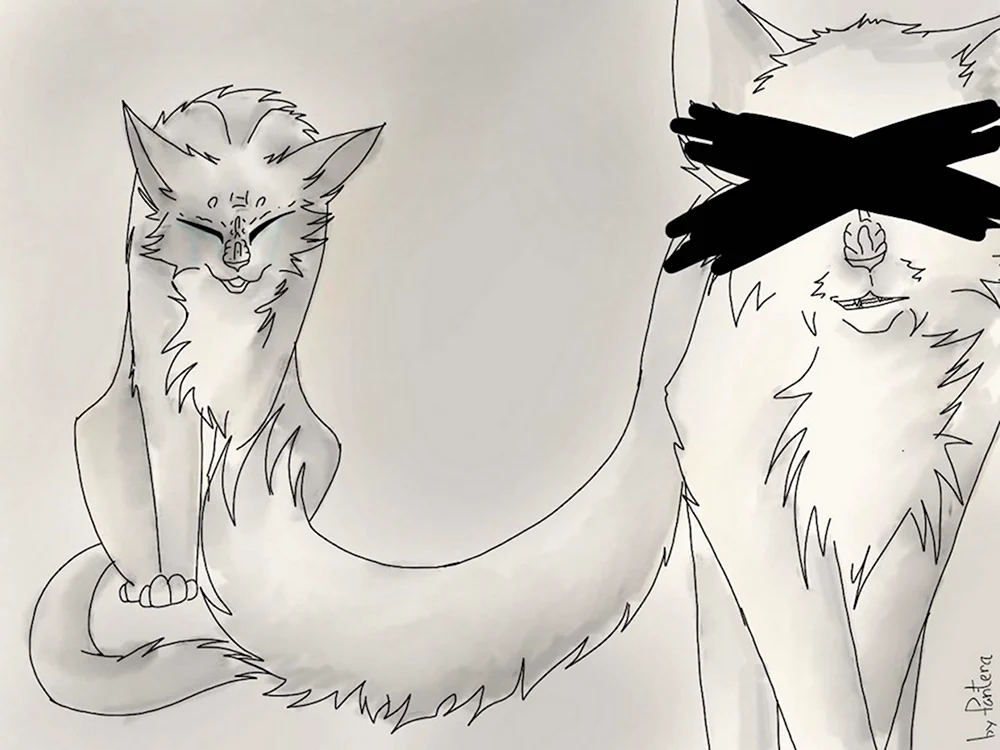 Подробный урок: как рисовать котов-воителей