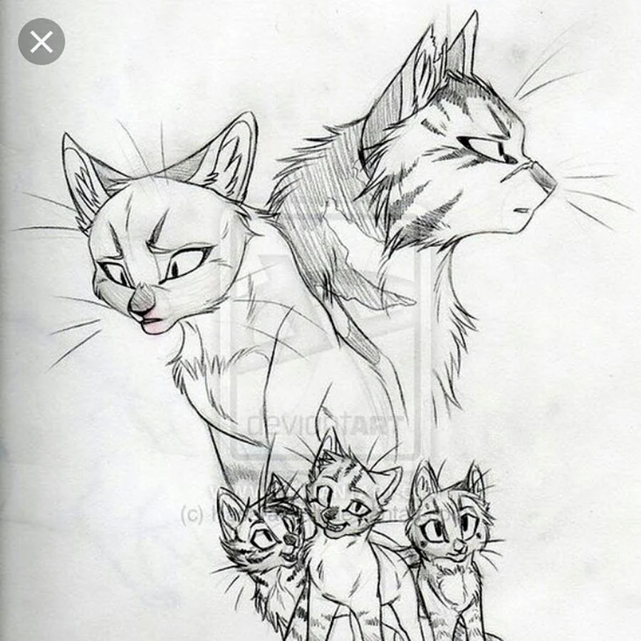 Рисунки Коты-воители для срисовки карандашом