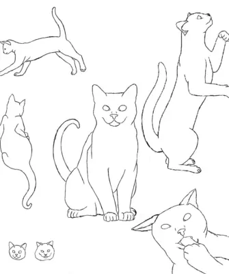 Красивые позы котов для рисования