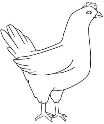 Курица рисунок