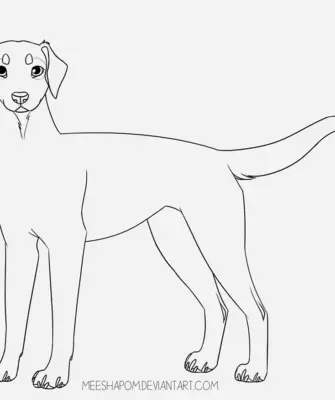 Модель собаки для срисовки