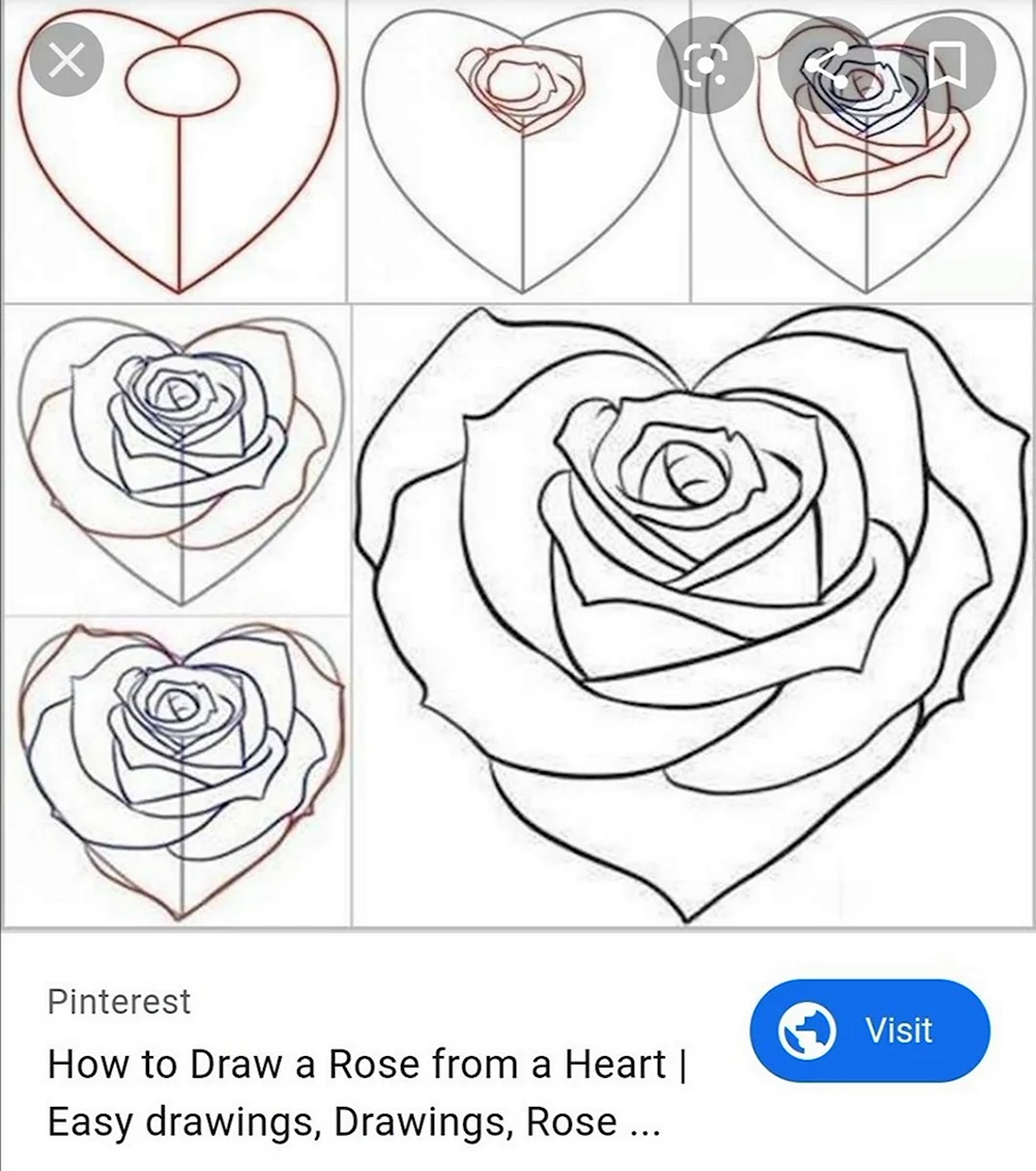 Рисунки карандашом лёгкие розы по этапам