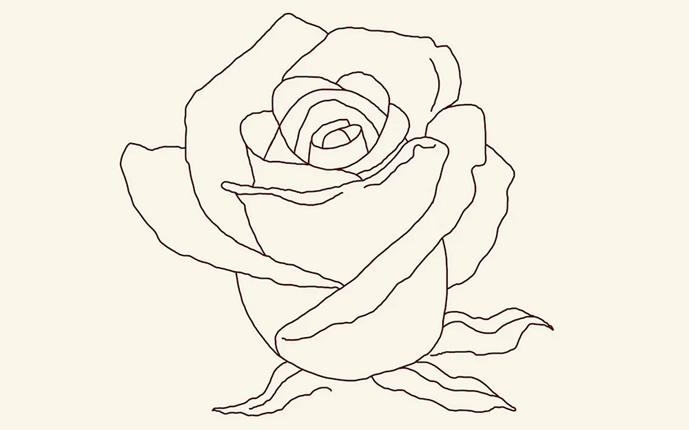 Рисунок розы по частям