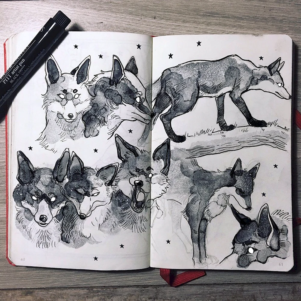 Скетчбук для рисования животных