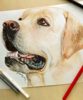 Собака цветными карандашами