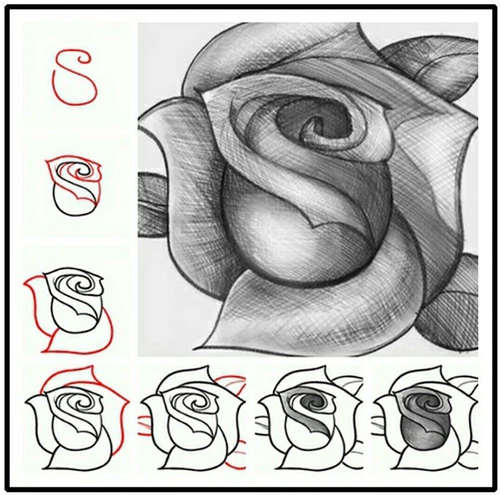 Урок рисования розы карандашом