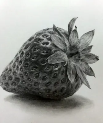 Зарисовки фруктов