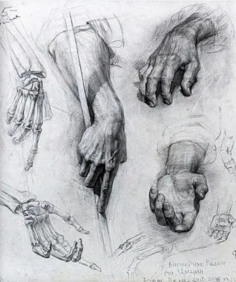 Академические зарисовки рук