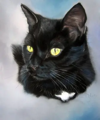 Черная кошка пастелью