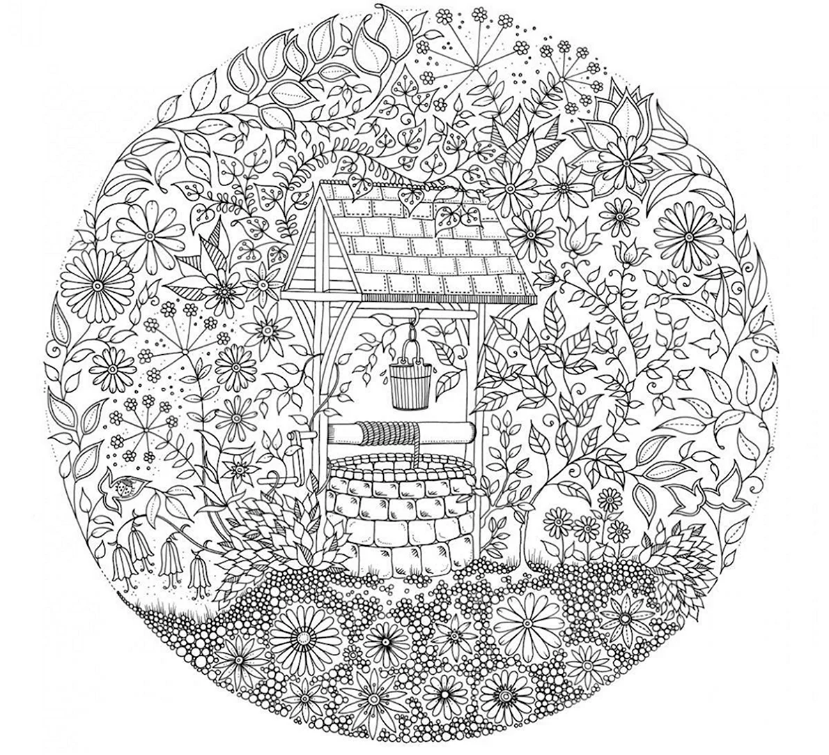 Джоанна Бэсфорд таинственный сад раскраска