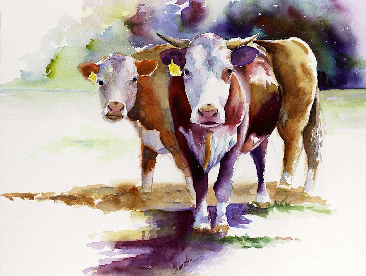 Картинки для срисовки корова (54 шт)