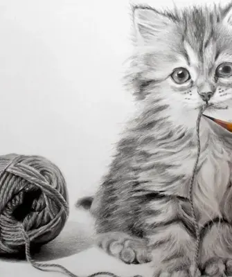 Кошка карандашом