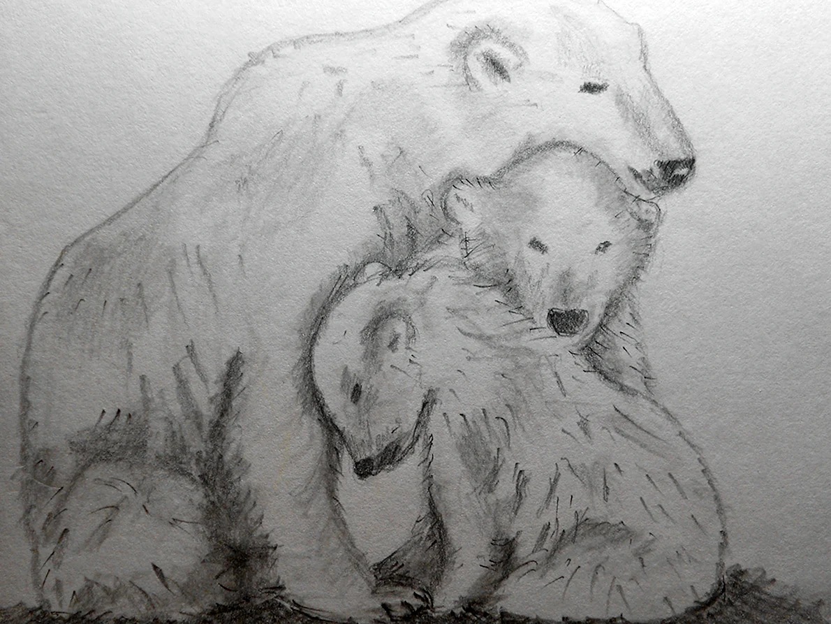 Медведь рисунок карандашом простой