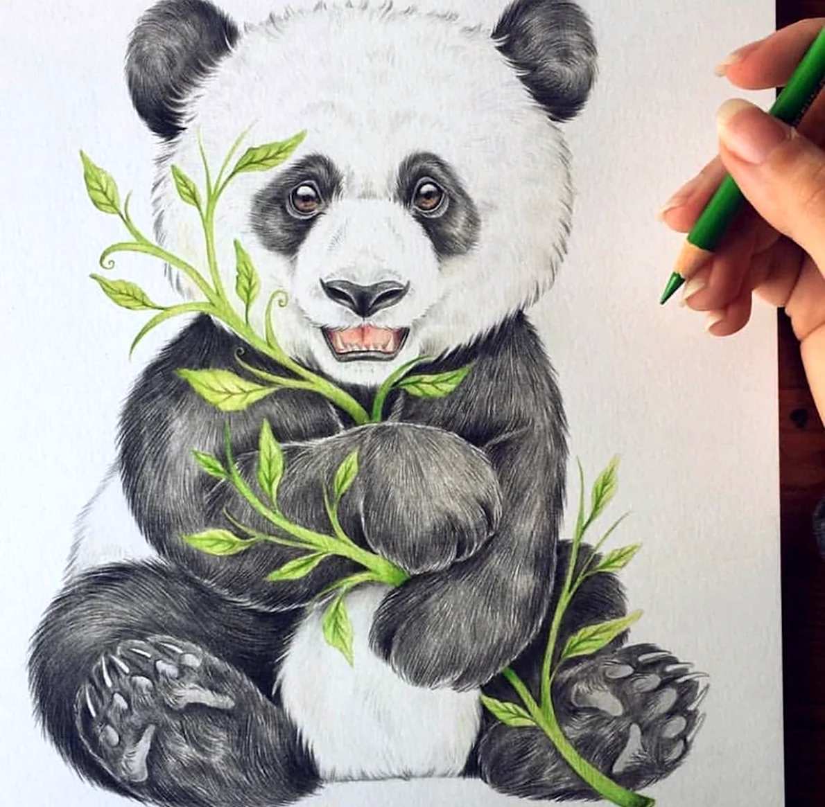 Нарисовать панду