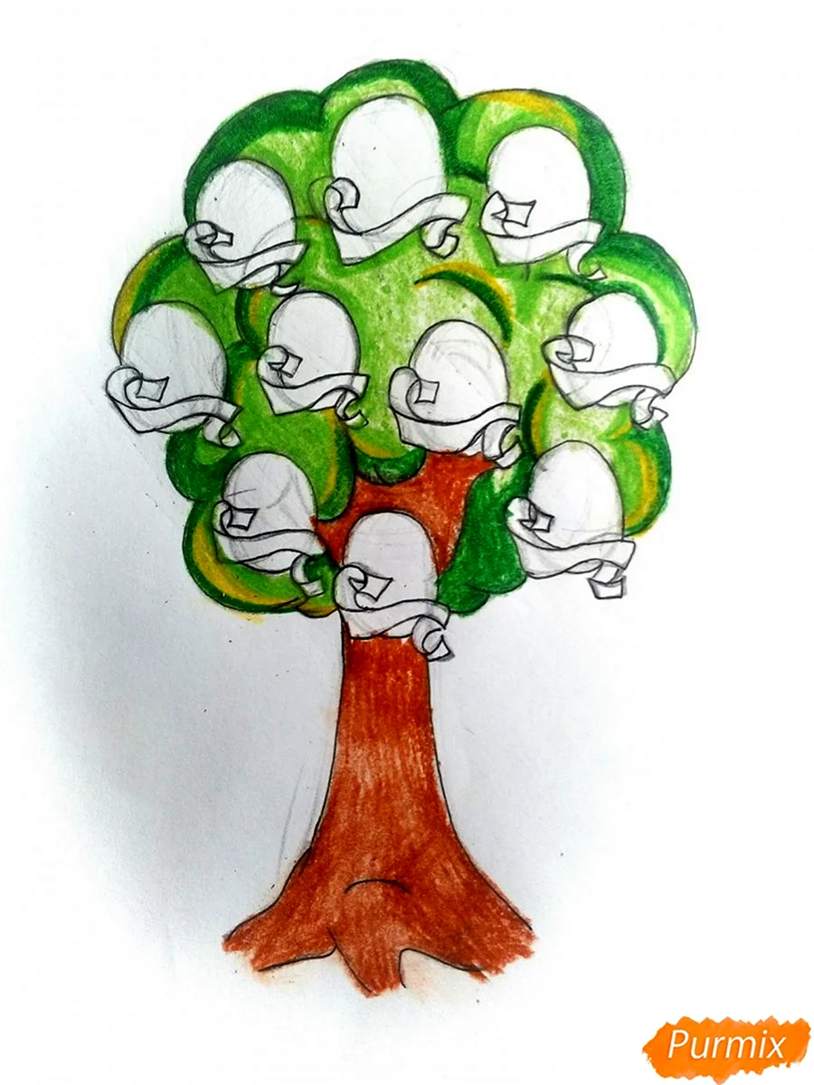 Генеалогическое древо семьи своими руками