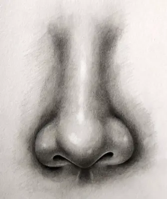 Нос карандашом