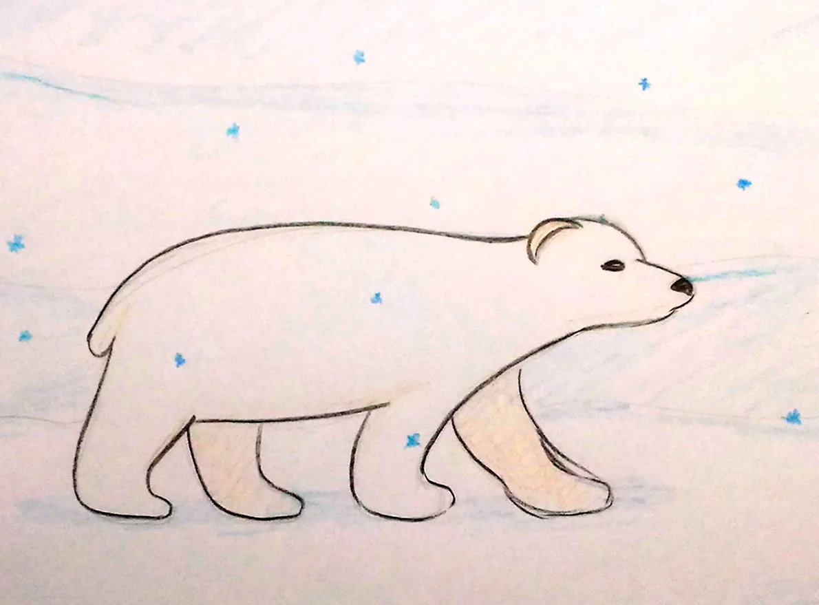 Поэтапное рисование белого медведя в старшей группе