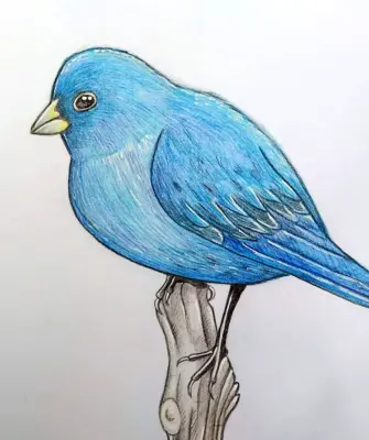 Птицы акварельными карандашами