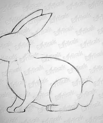 Рисование кролика в средней группе