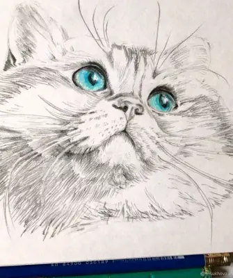 Рисунки котов карандашом для срисовки