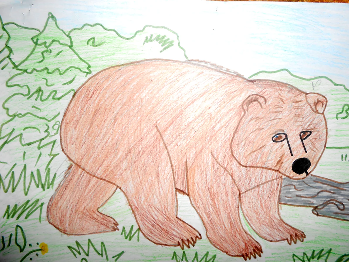 Рисунки медведя легкие