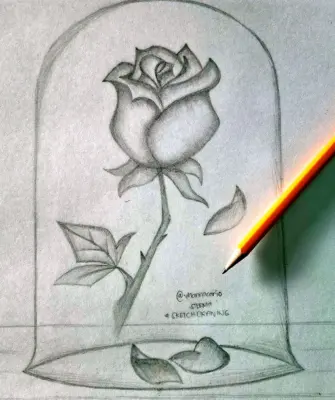 Роза в огне рисунок