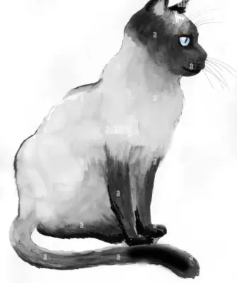 Сиамская кошка в карандаше сидит
