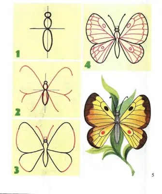 Уроки рисования бабочка
