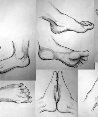 Зарисовки рук и ног