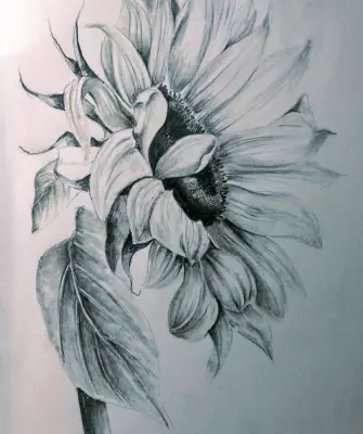 Зарисовки цветов