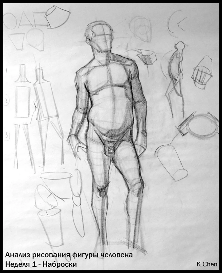 Анатомические фигуры для рисования
