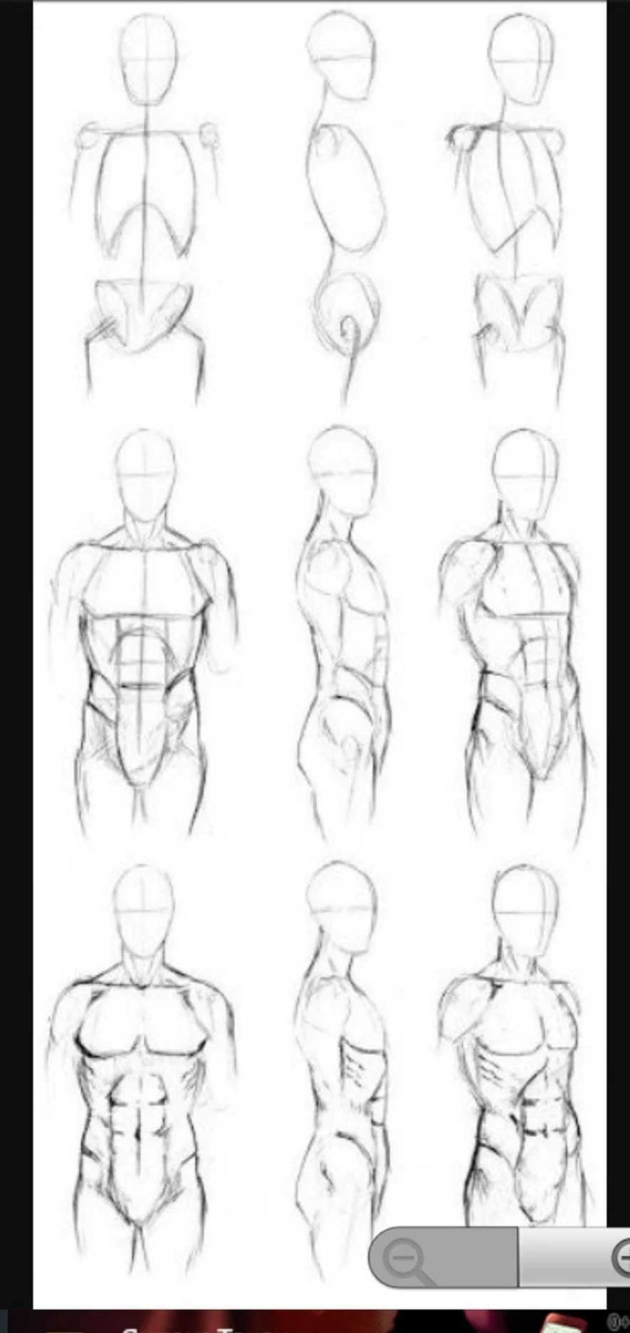 Анатомия для рисования