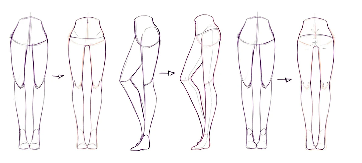 Анатомия ног для рисования