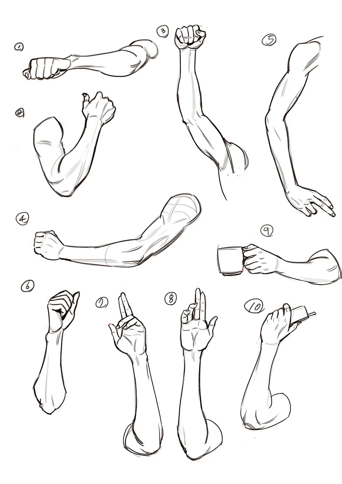 Анатомия рук для рисования