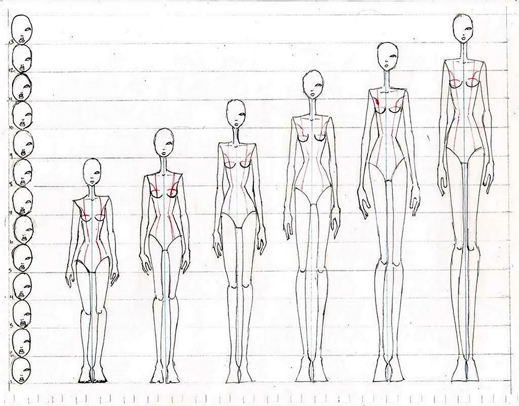 Анатомия тела для рисования дизайнеров