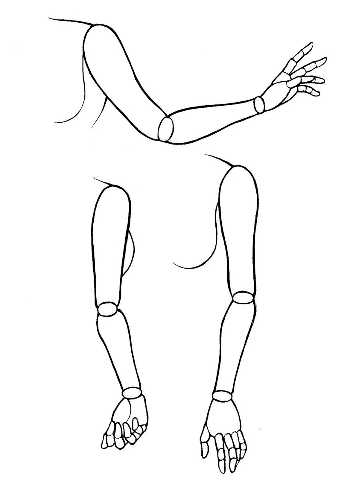 Анатомия женских рук для рисования