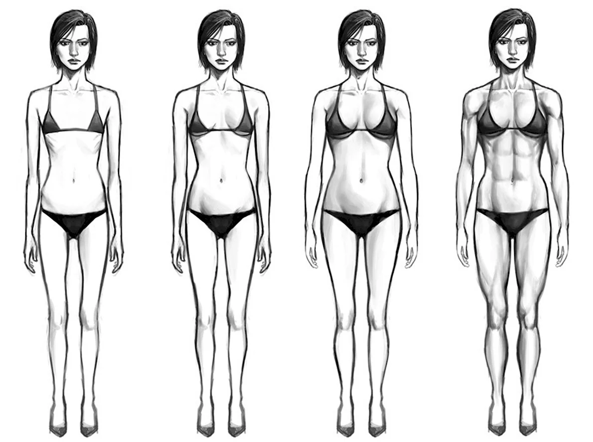 Астеник Тип телосложения у женщин
