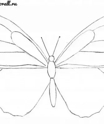 Бабочка рисунок карандашом для детей