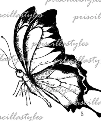 Бабочка сбоку рисунок