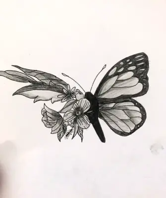 Бабочка скетч