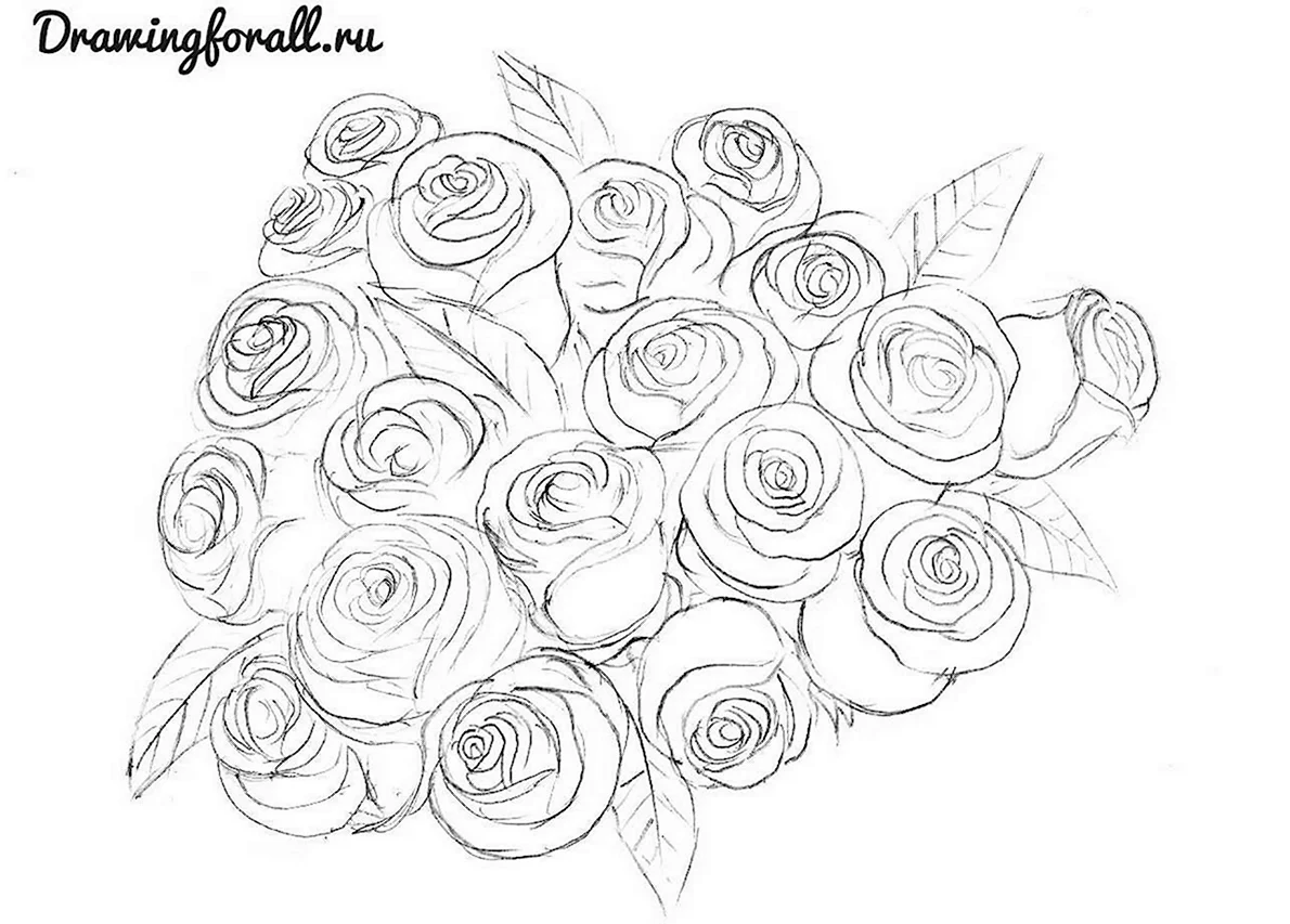 Букеты рисовать поэтапно. Рисунок розы для срисовки. Букет цветов для срисовки. Букет цветов рисунок карандашом. Эскизы букетов цветов карандашом.