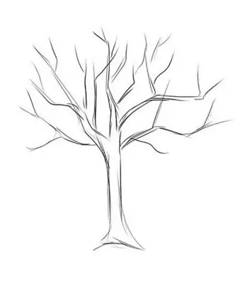 Дерево для срисовки