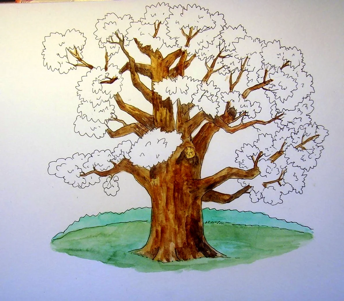 Рисунки для срисовки для детей деревья (26 шт)