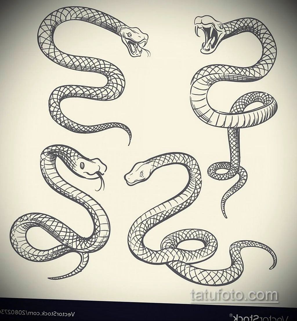 Эскиз змеи в разных стилях